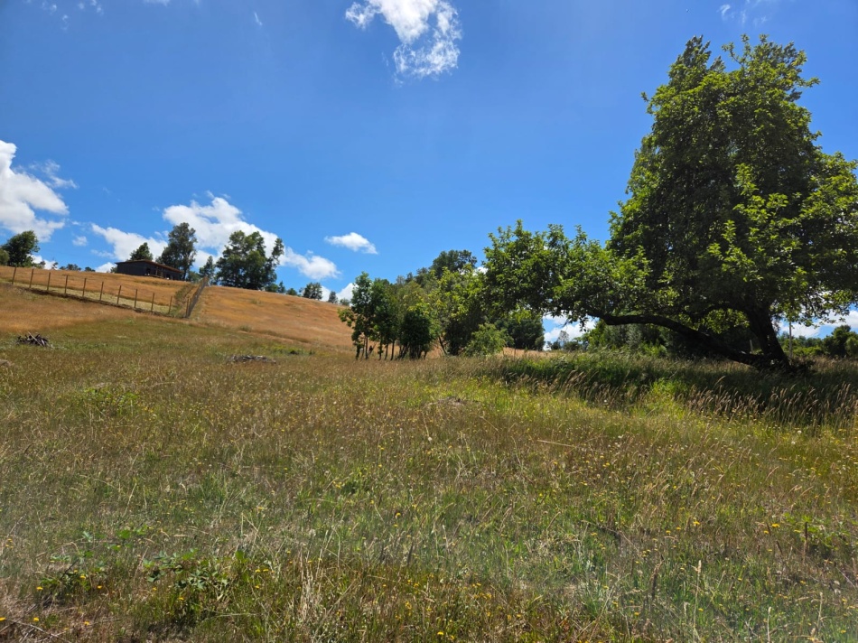VENTA - Parcela Sector Colga 5.000 m2 - A 15 minutos de Villarrica - Con vertiente natural.